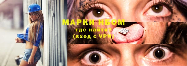 сатива Богородск